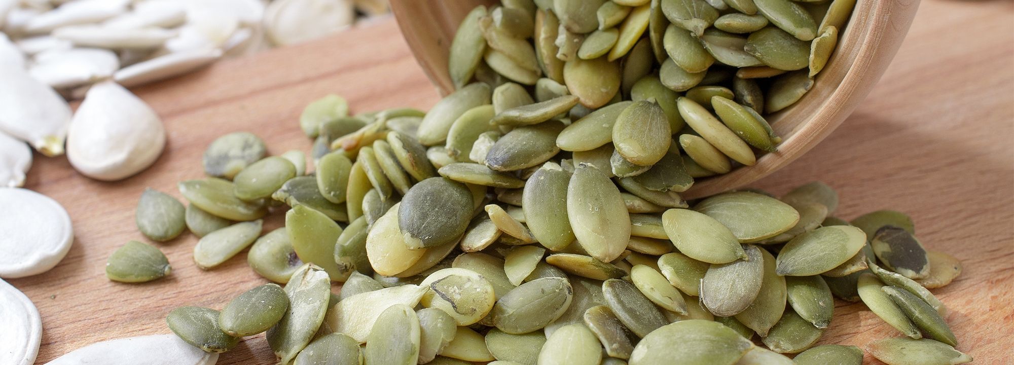 Unser Umfangreicher Leistungsumfang und großes Produktspektrum